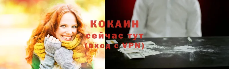 продажа наркотиков  Кологрив  COCAIN Fish Scale 